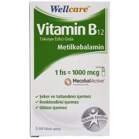 Wellcare Vitamin B12 1000 mcg 5 ml Sprey